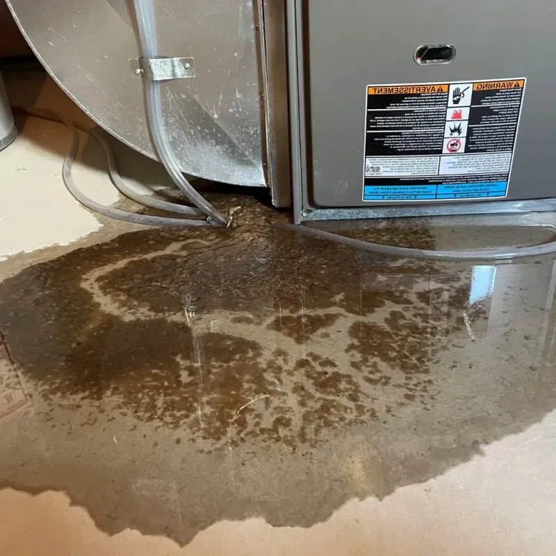 Pipe Burst and Leak Restoration in Purcellville, VA